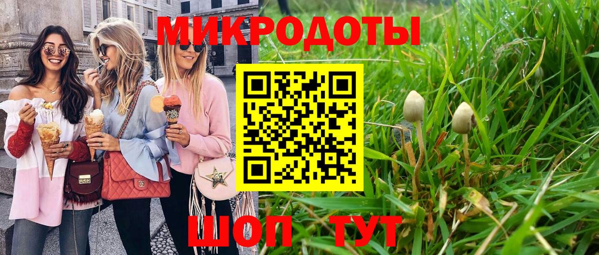 Псилоцибиновые грибы GOLDEN TEACHER Клинцы