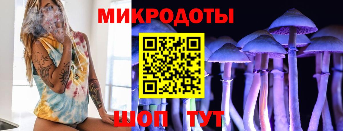 Клинцы  Галлюциногенные грибы мицелий  Псилоцибиновые грибы Psilocybine cubensis  Вход с VPN 